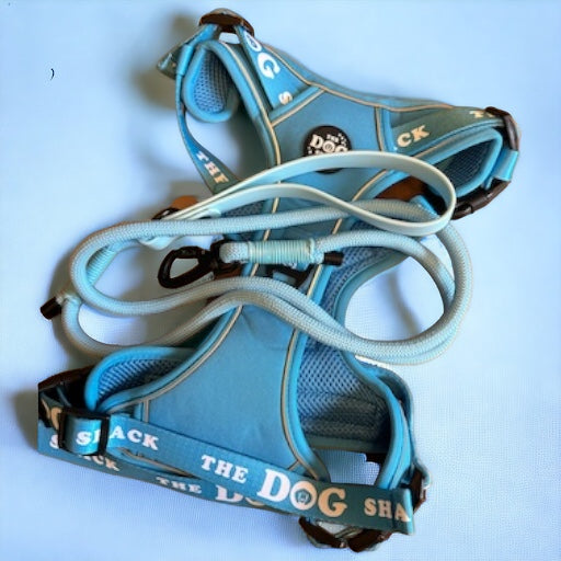 Neon Blue Collection Wholesale