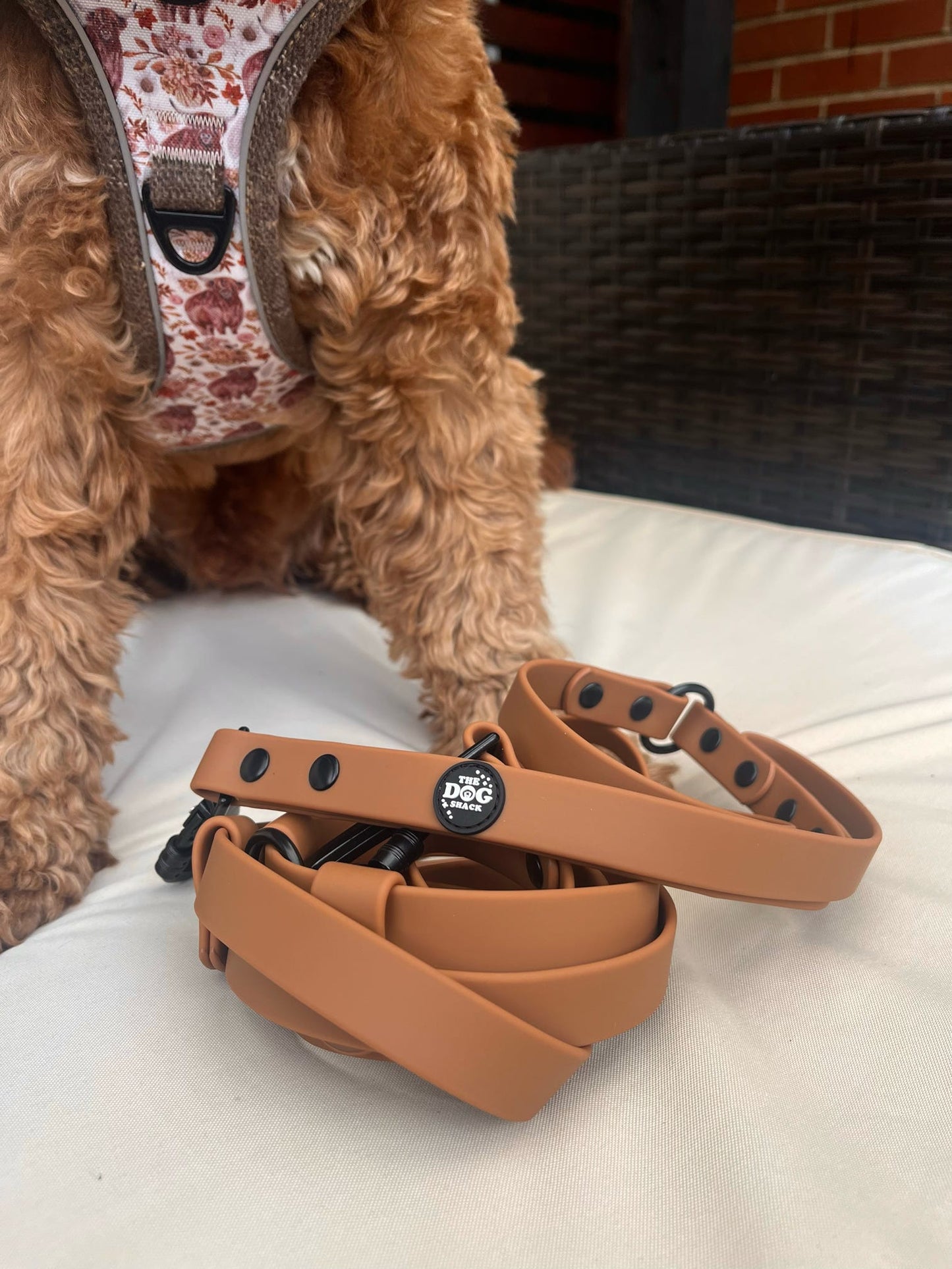 Multi Way Hands Free Dog Lead - Brown
