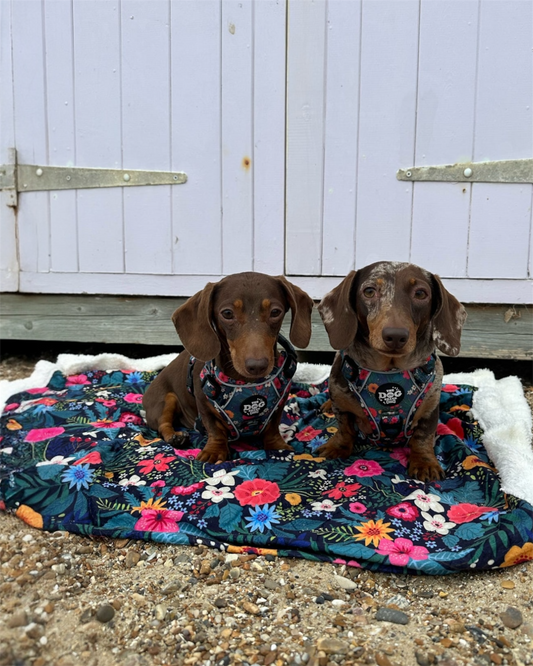 Dog Blanket -Ditsy Flowers