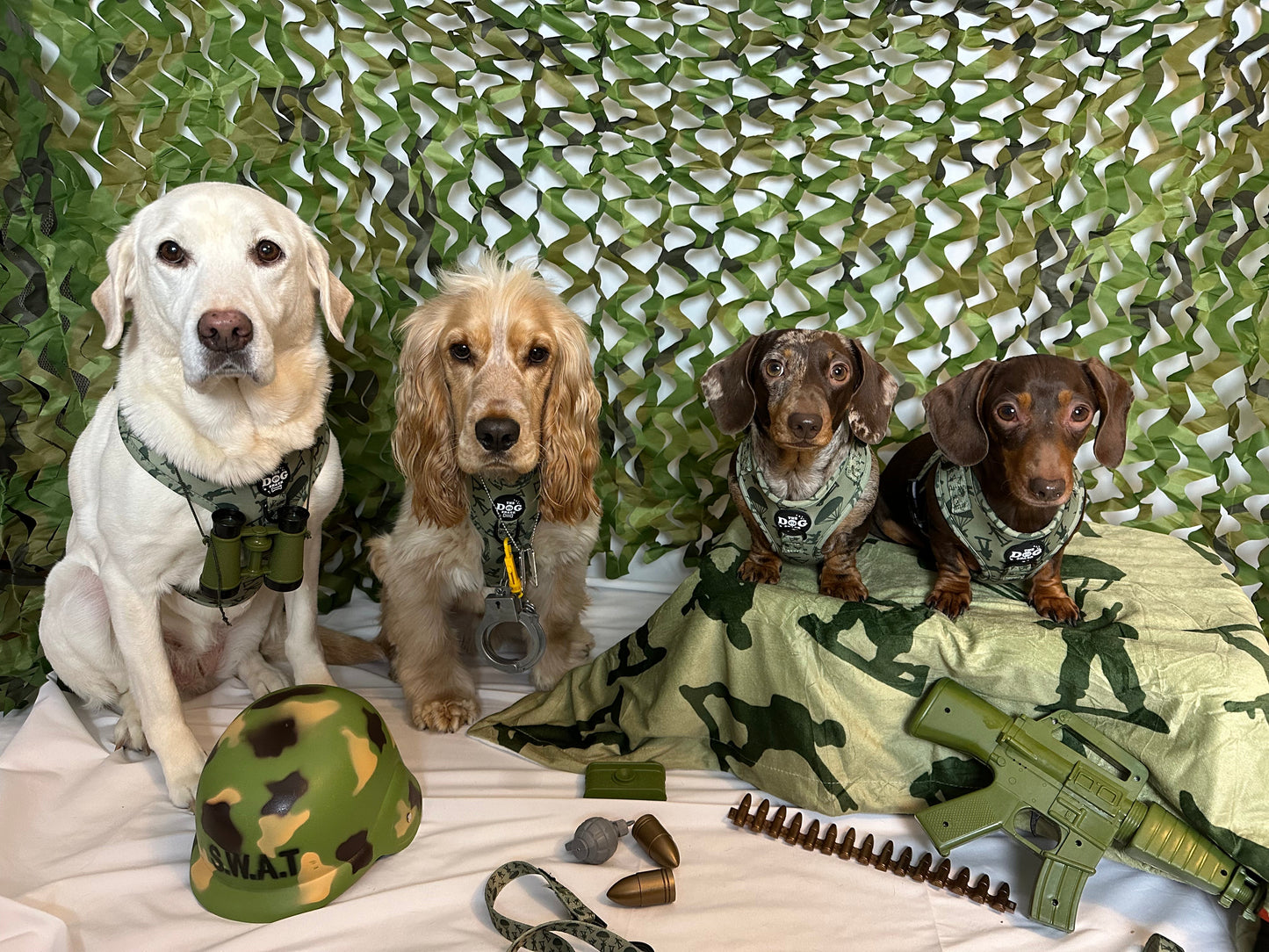Re-Pawting For Duty Collection Wholesale