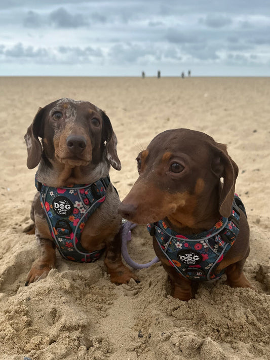 Adjustable 1 Clip & 3 Clip Harness - Ditsy Flowers