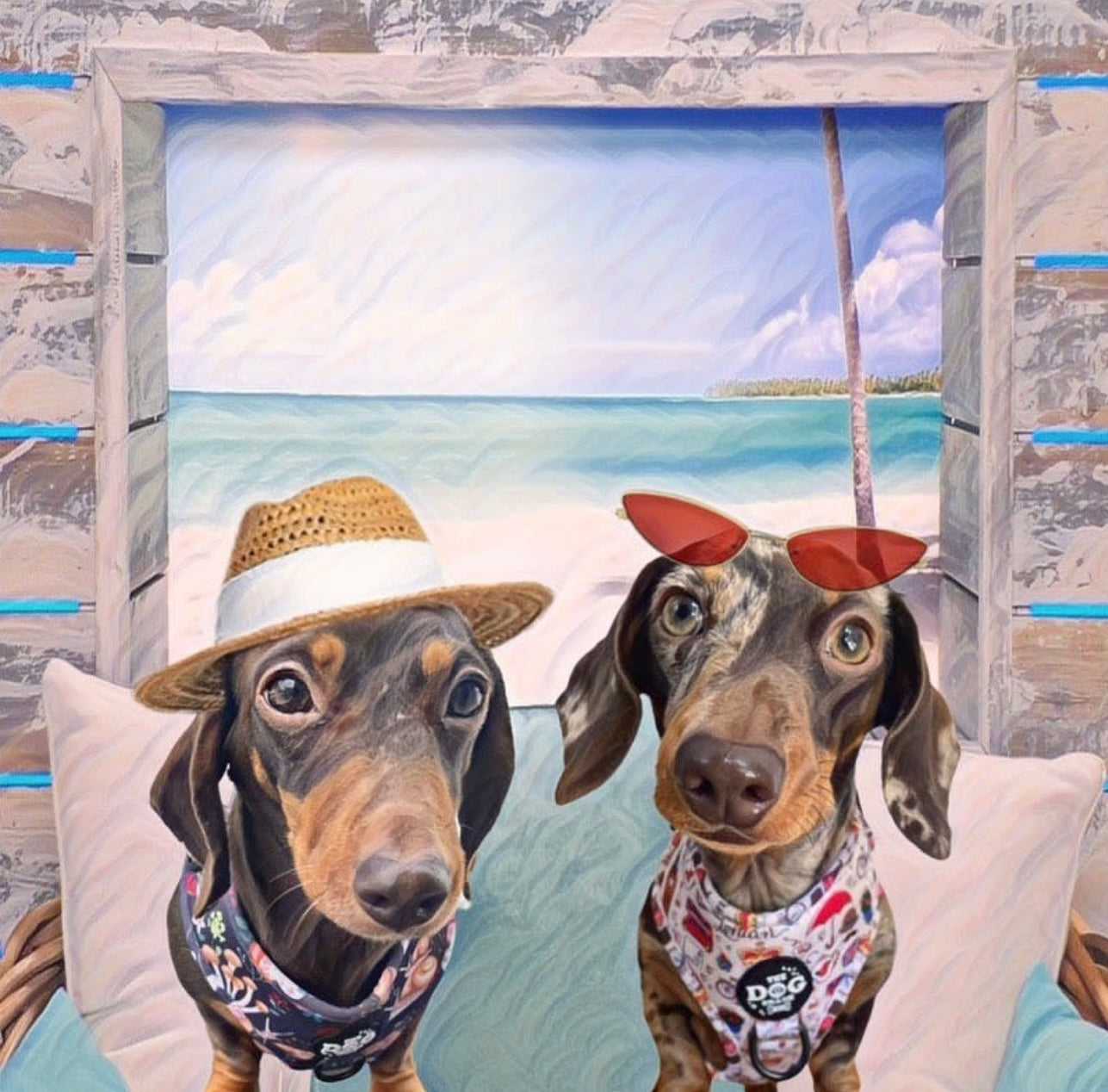 Adjustable 1 Clip Harness - Mush-Vrooms go Faster than Snails size large