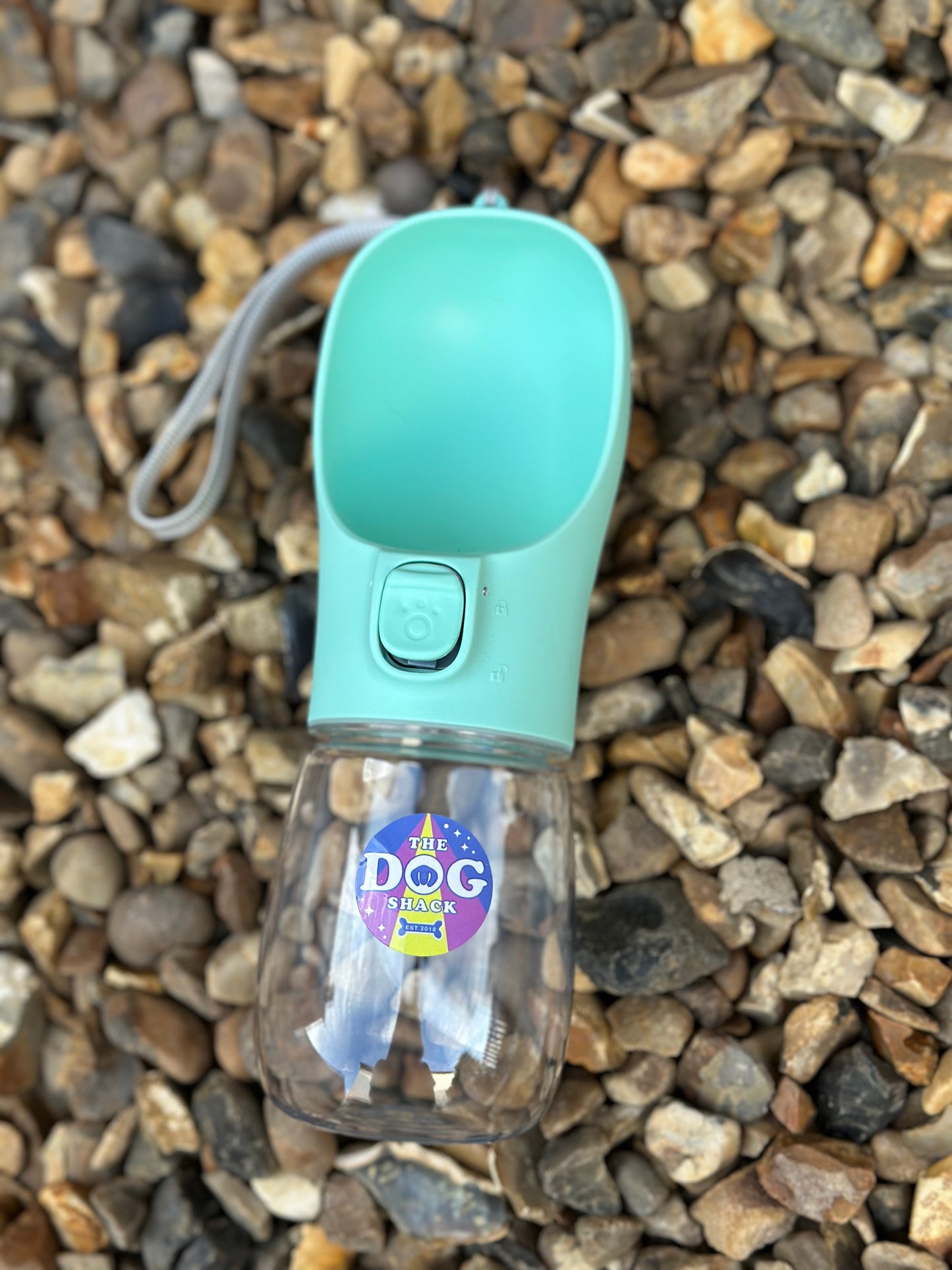 Dog Water Bottle - Mint Green