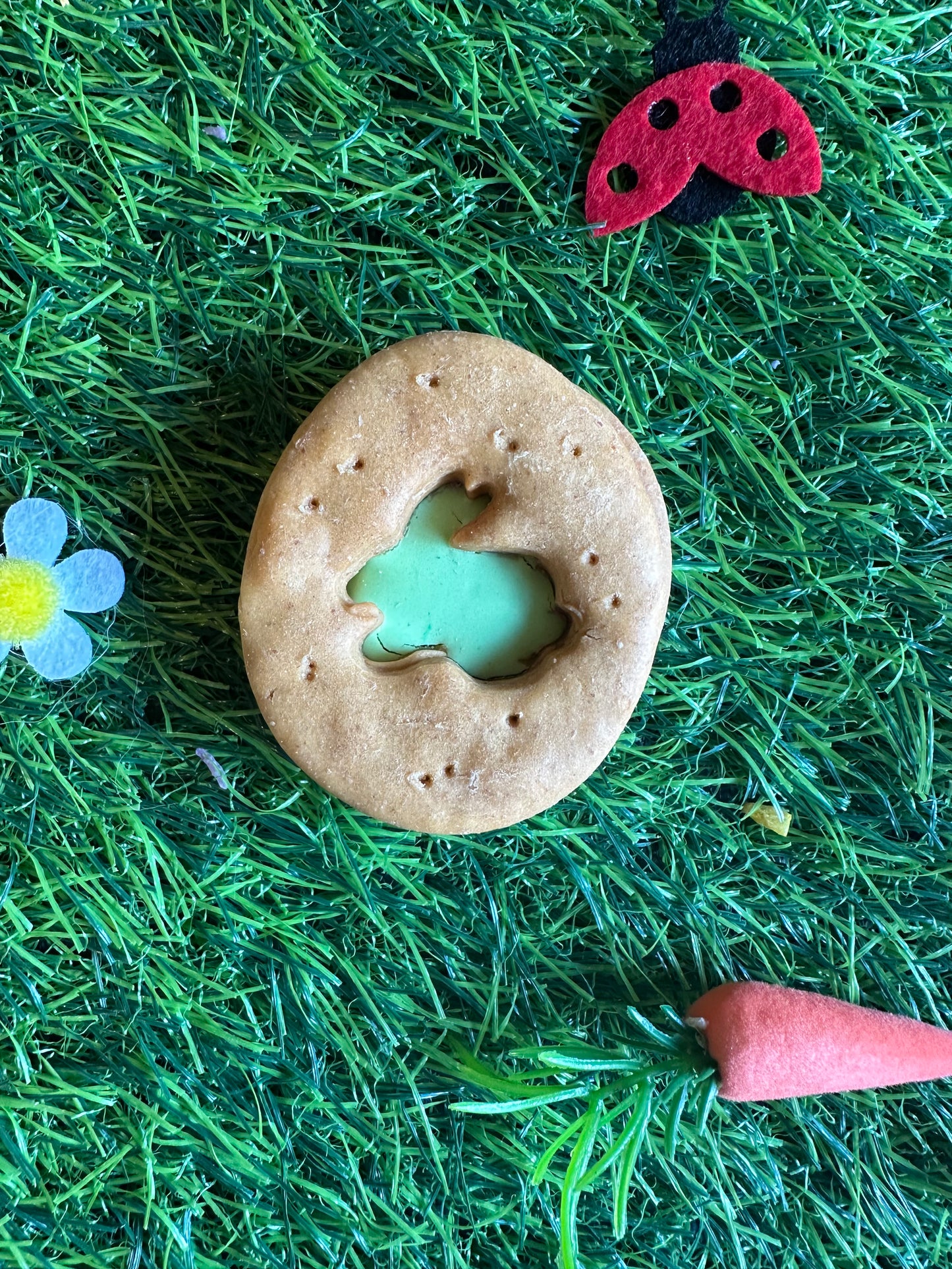 PK 2 Easter Dodgers Grain Free Biscuit