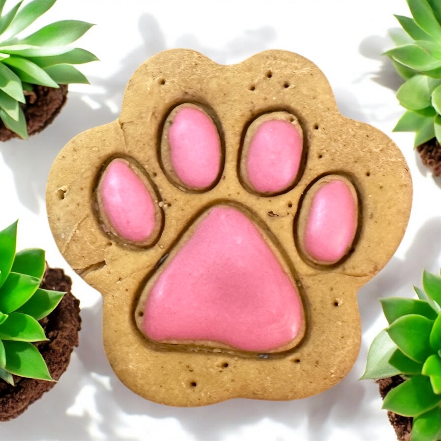 Paw Peanut Butter Large Dog Biscuits