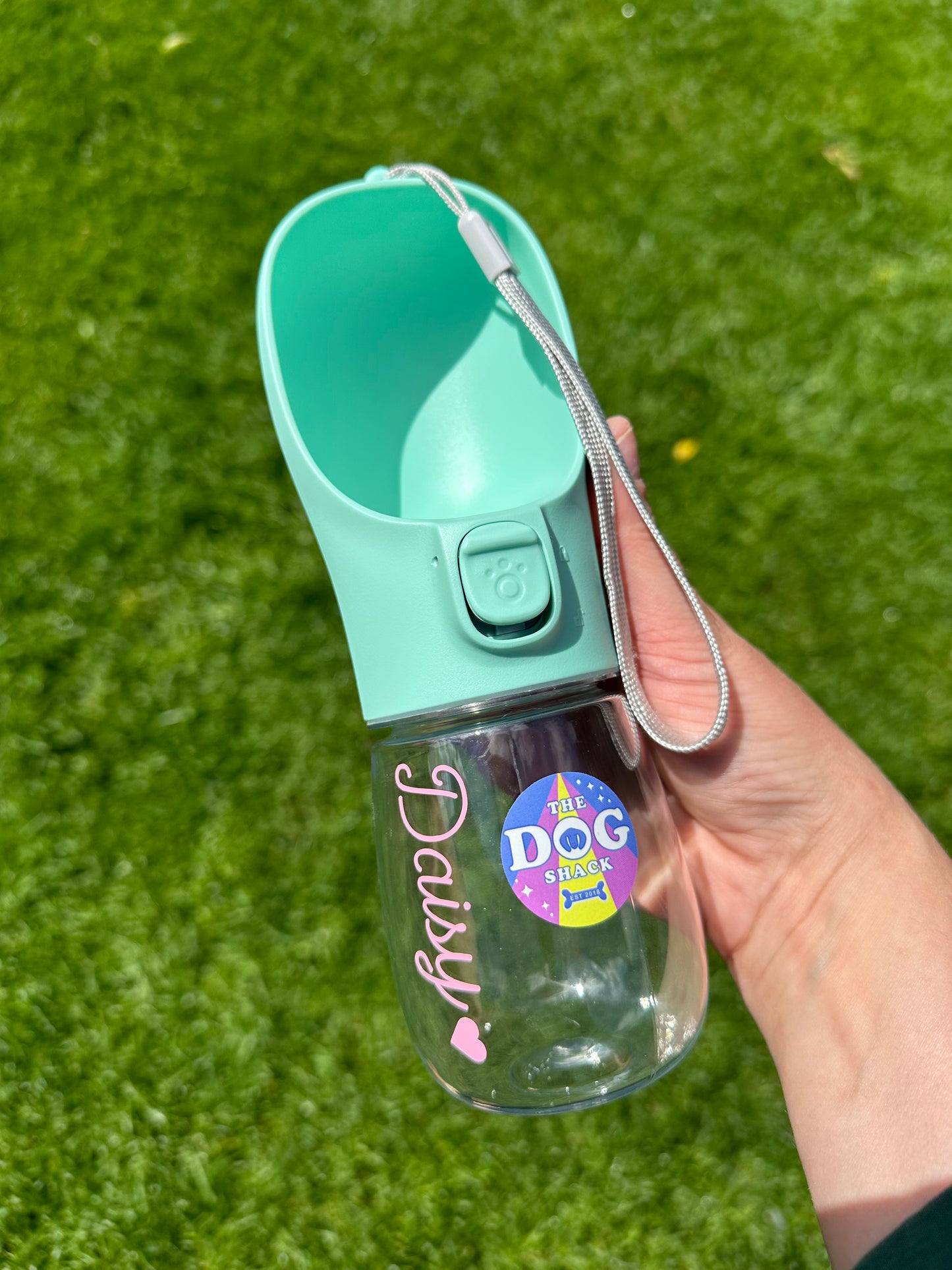 Dog Water Bottle - Mint Green