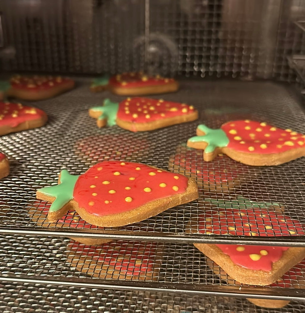 Strawberry Grain free Dog Biscuit x1 Wholesale