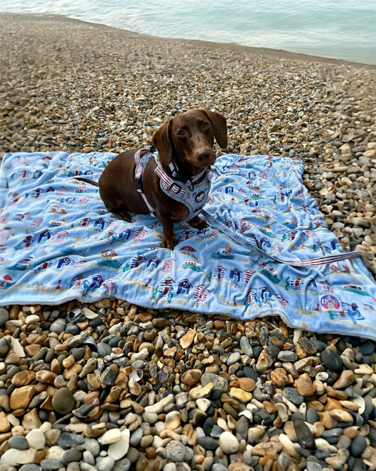 Dog Blanket - Beach Pup