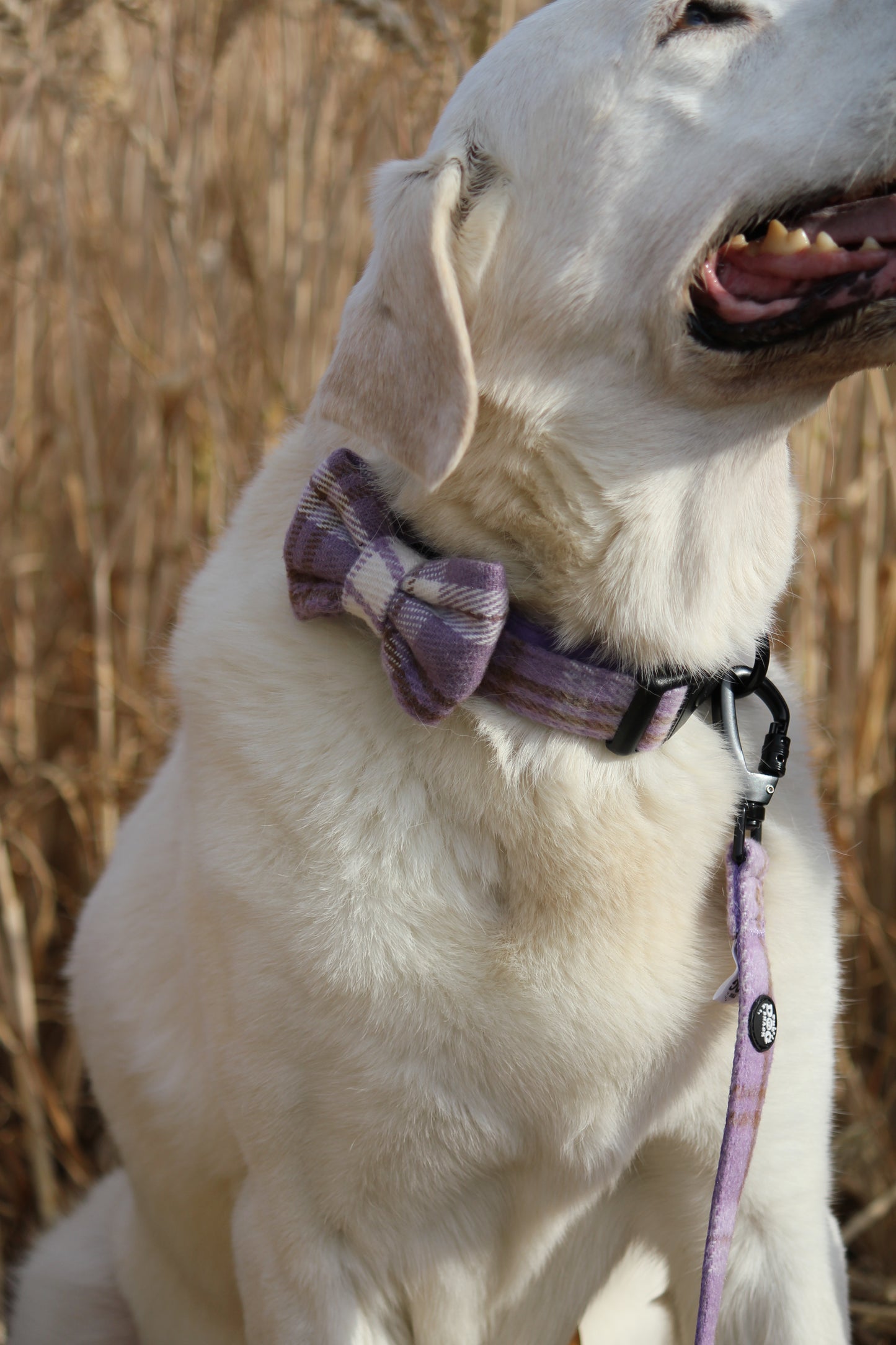 Bow Tie - Lavender Tweed