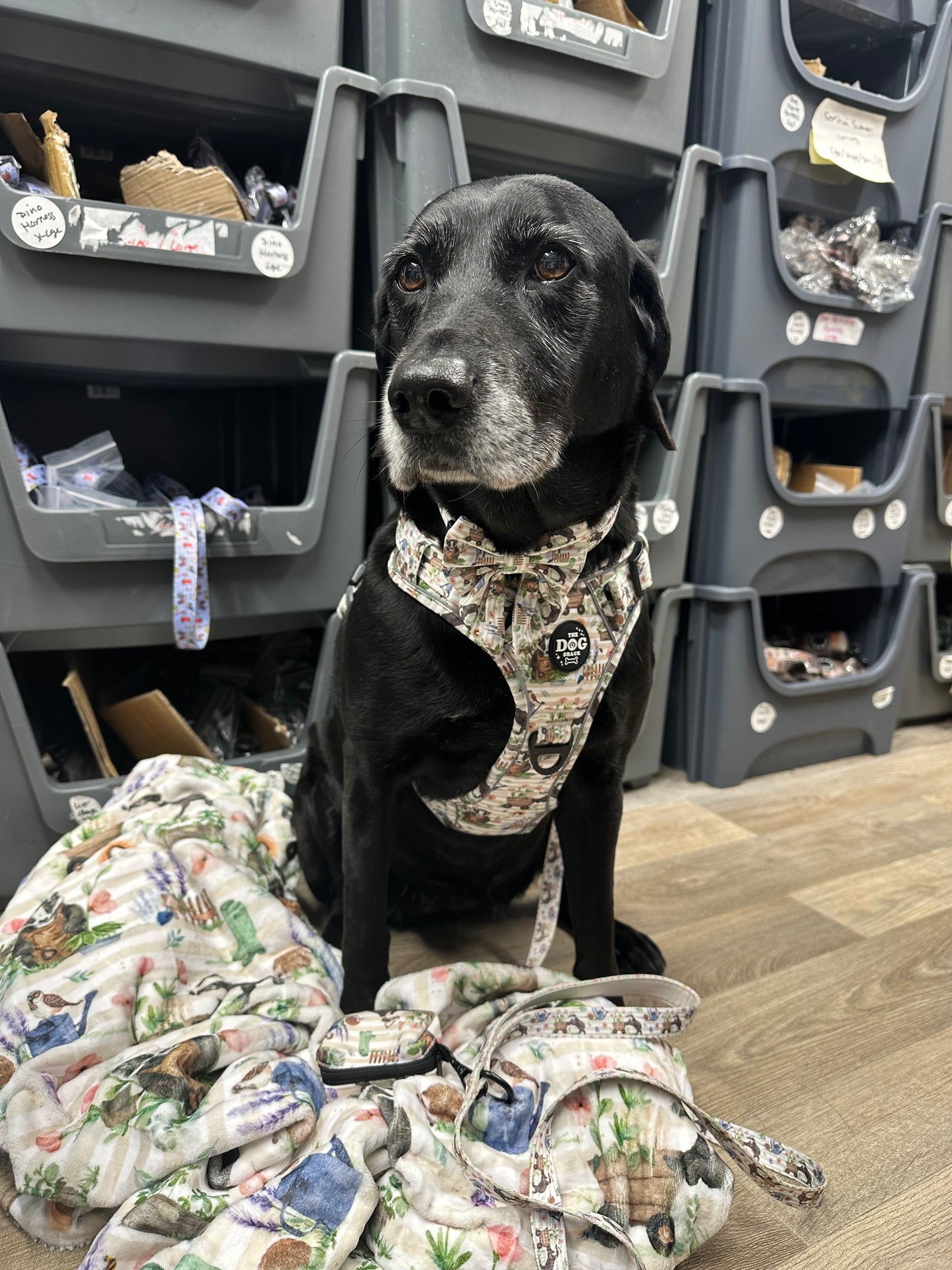 Dog Blanket - Badger & Friends