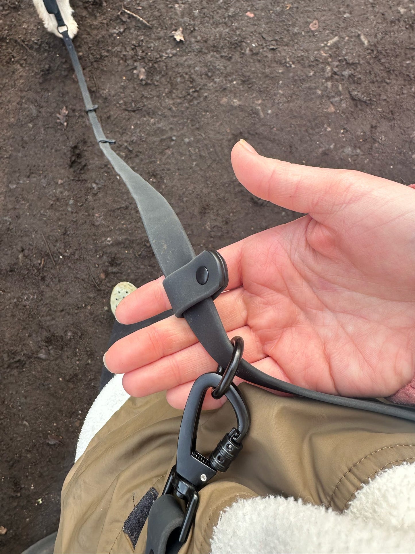 Multi Way Hands Free Dog Lead Wholesale