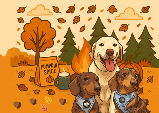 Personalised Tumbler 20oz - Pumpkin Spice