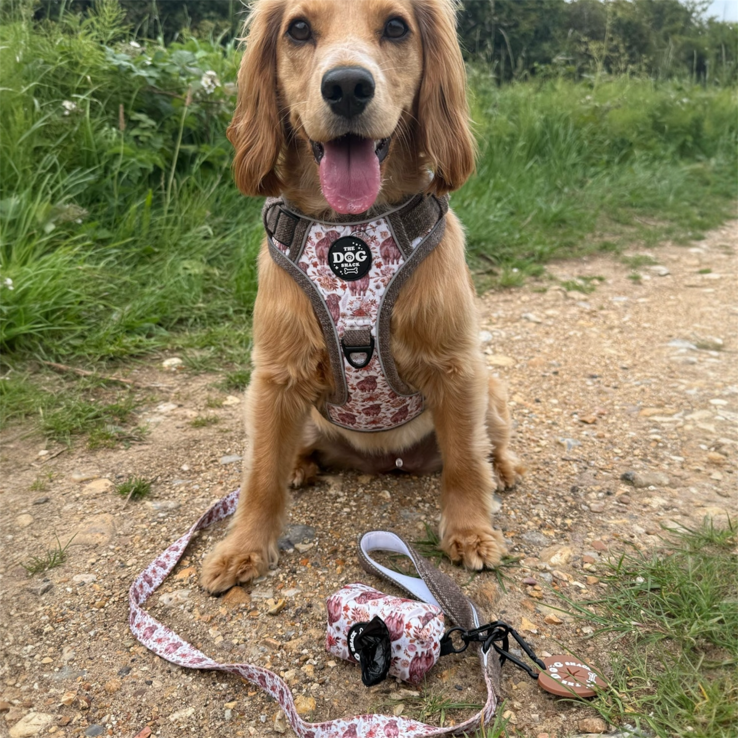 Poo Bag Holder - Brown Tweed x Highland Cow