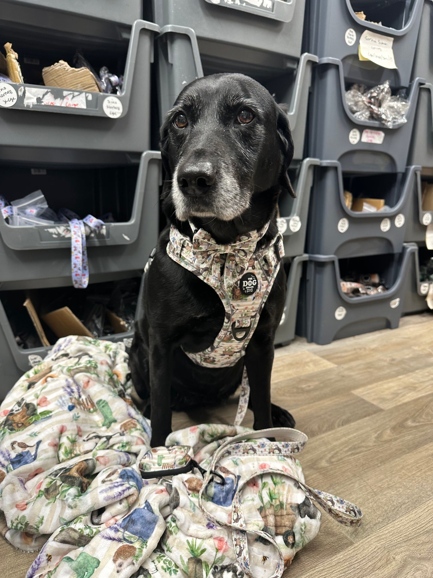 Badger & Friends Collection Wholesale