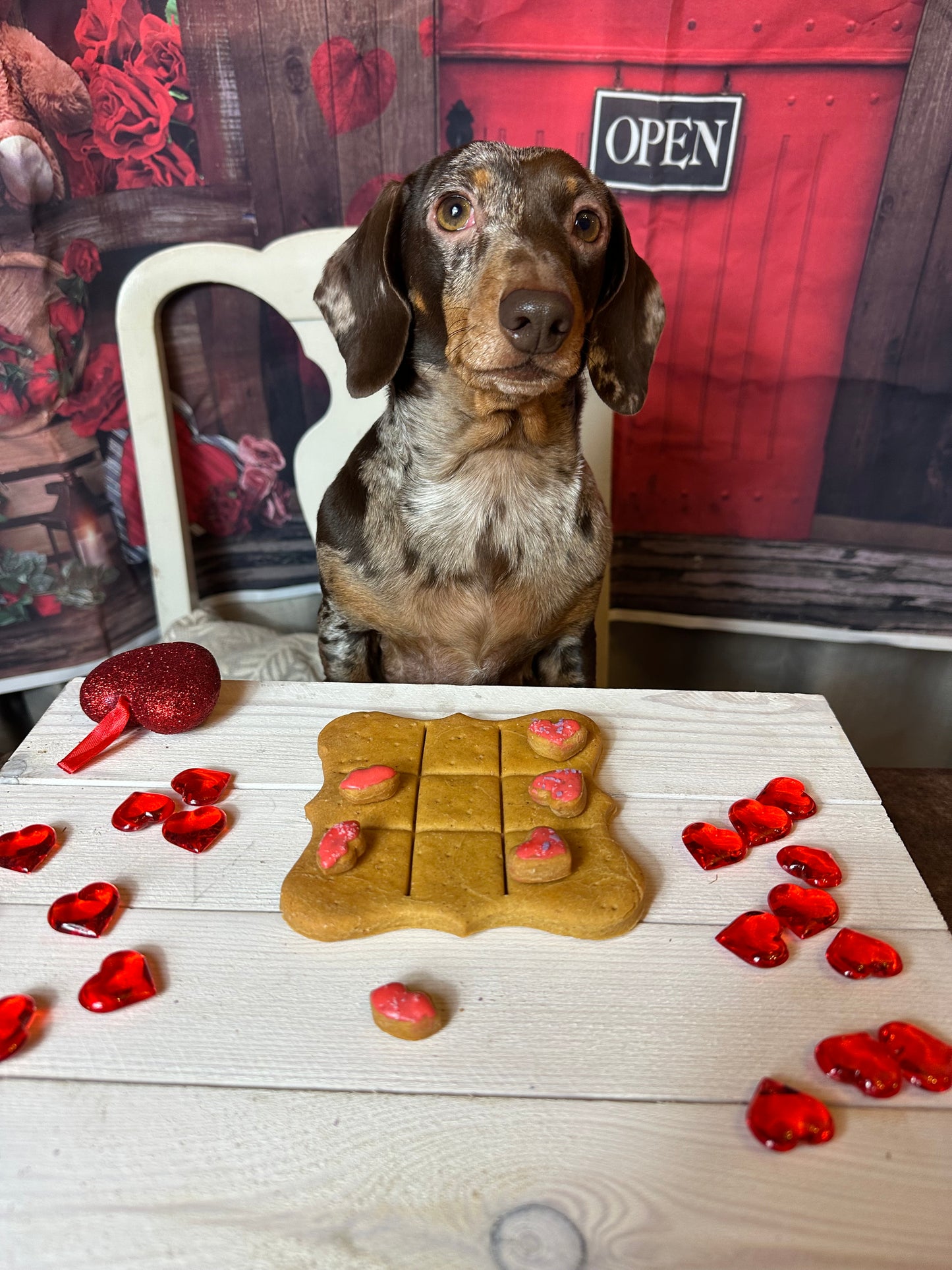 Paws & Kisses Dog Biscuit Game Wholesale