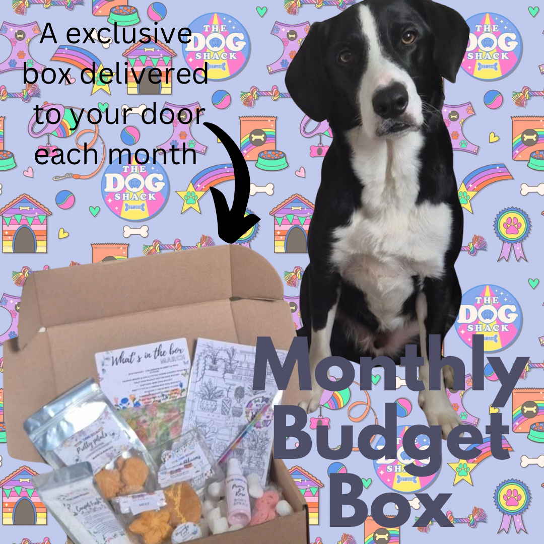 MAY Monthly Subscription Budget Box