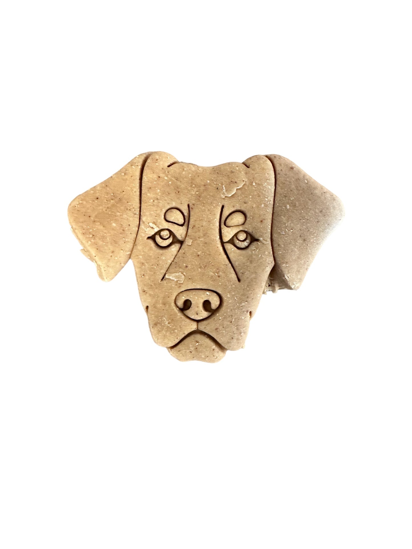 Dog Breed Birthday Cake