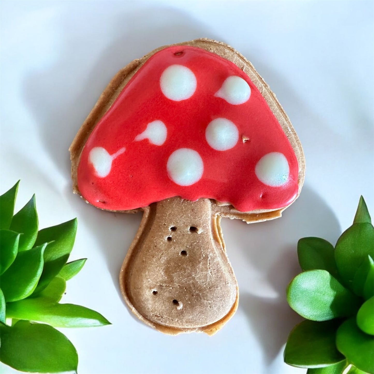 Mushroom Grain free Dog Biscuit x1 Wholesale