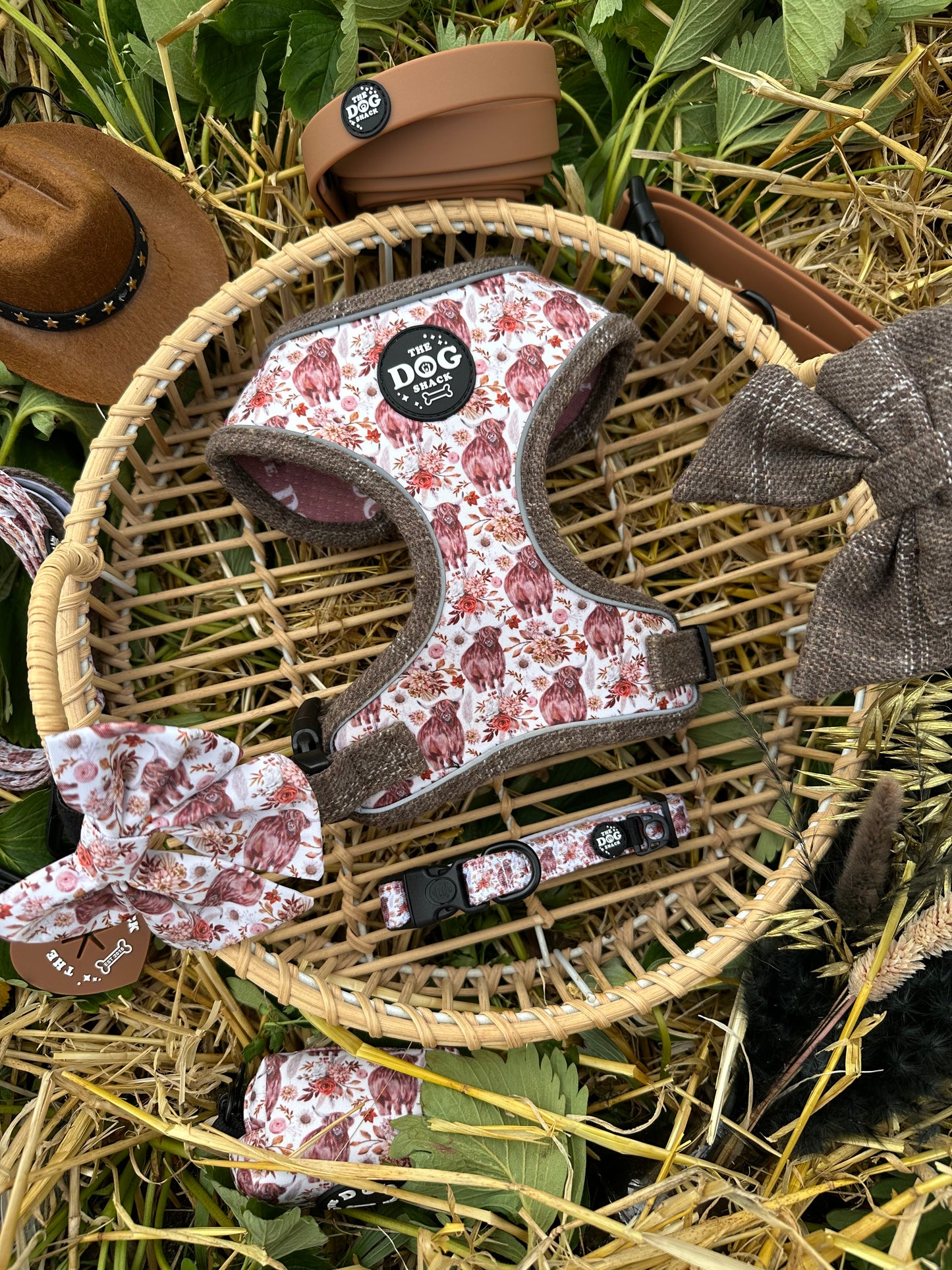 Harri The Highland Cow Collection Wholesale