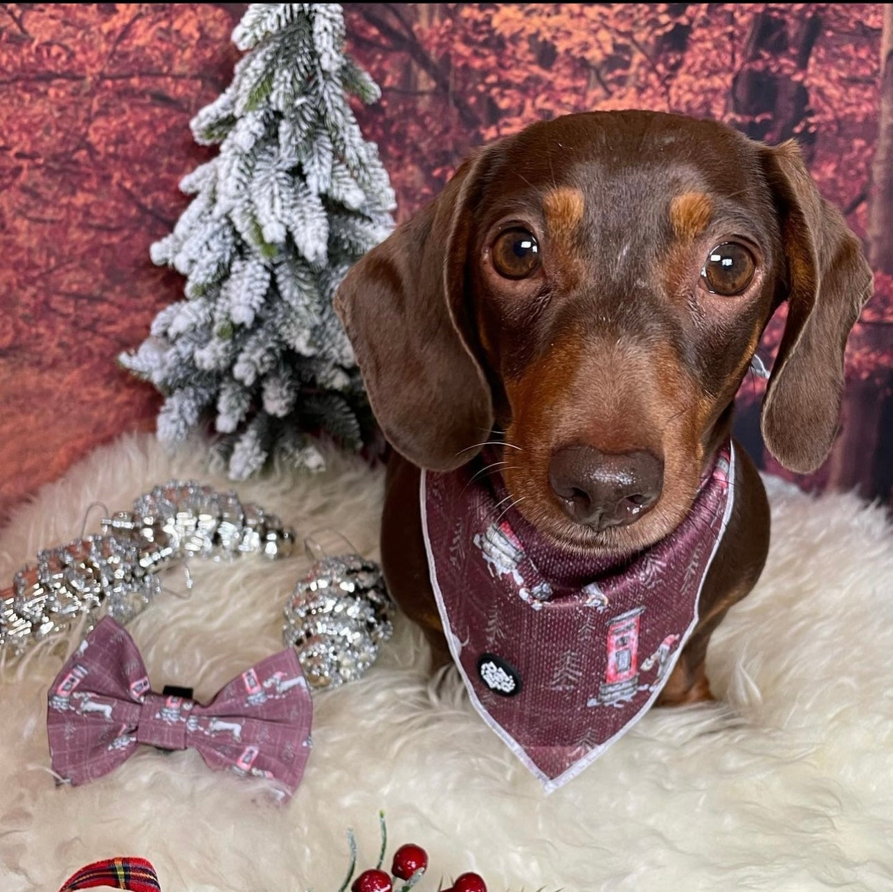 Bow tie - red Postman Sausage Dog was £6