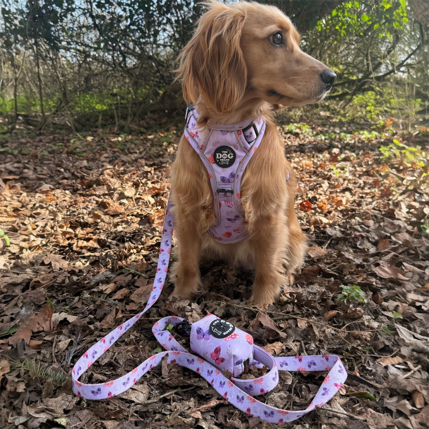 Poo Bag Holder - You Give Me Butterflies