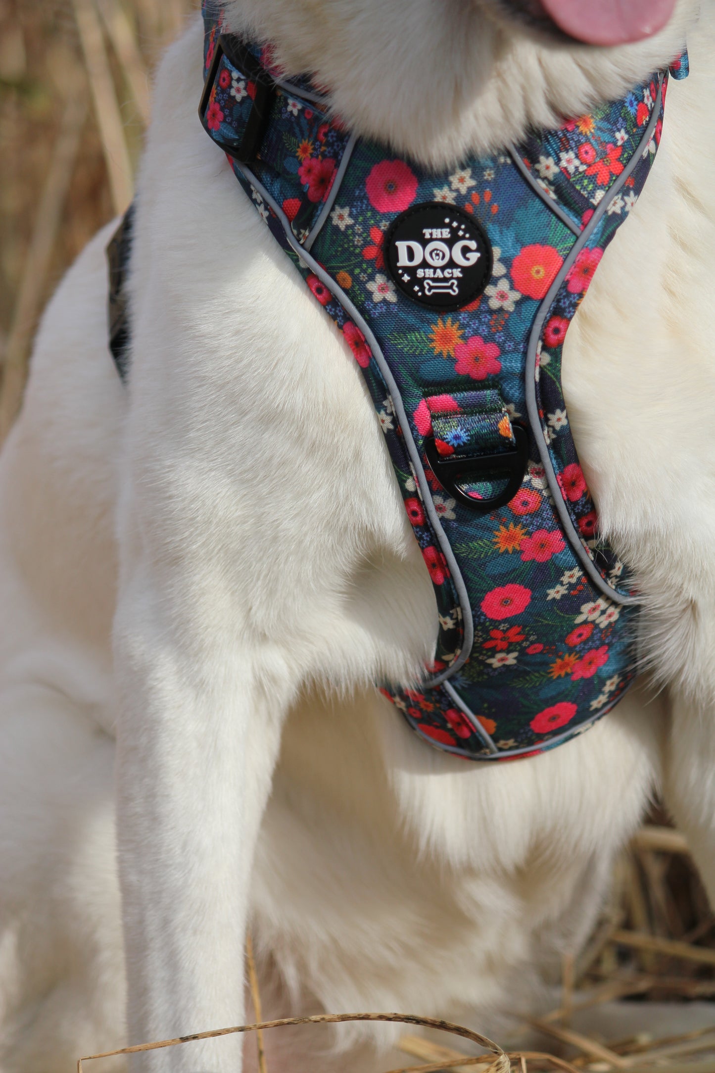 Adjustable 1 Clip & 3 Clip Harness - Ditsy Flowers