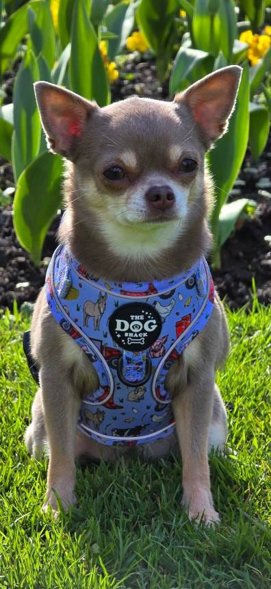 Adjustable 1 Clip & 3 harness - Freddie's Farm