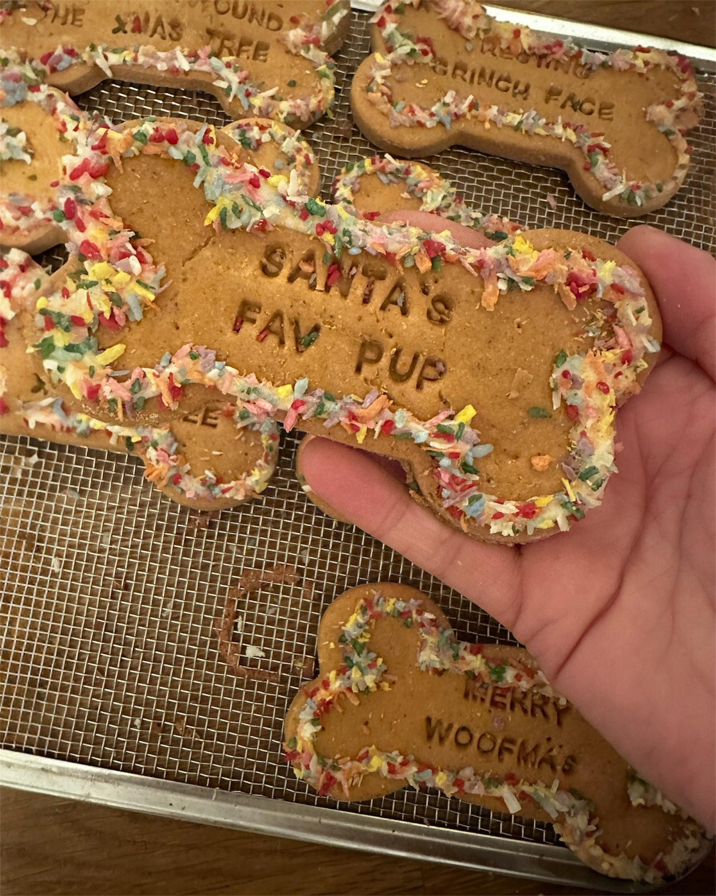 SANTAS FAV PUP Grainfree Dog Biscuit