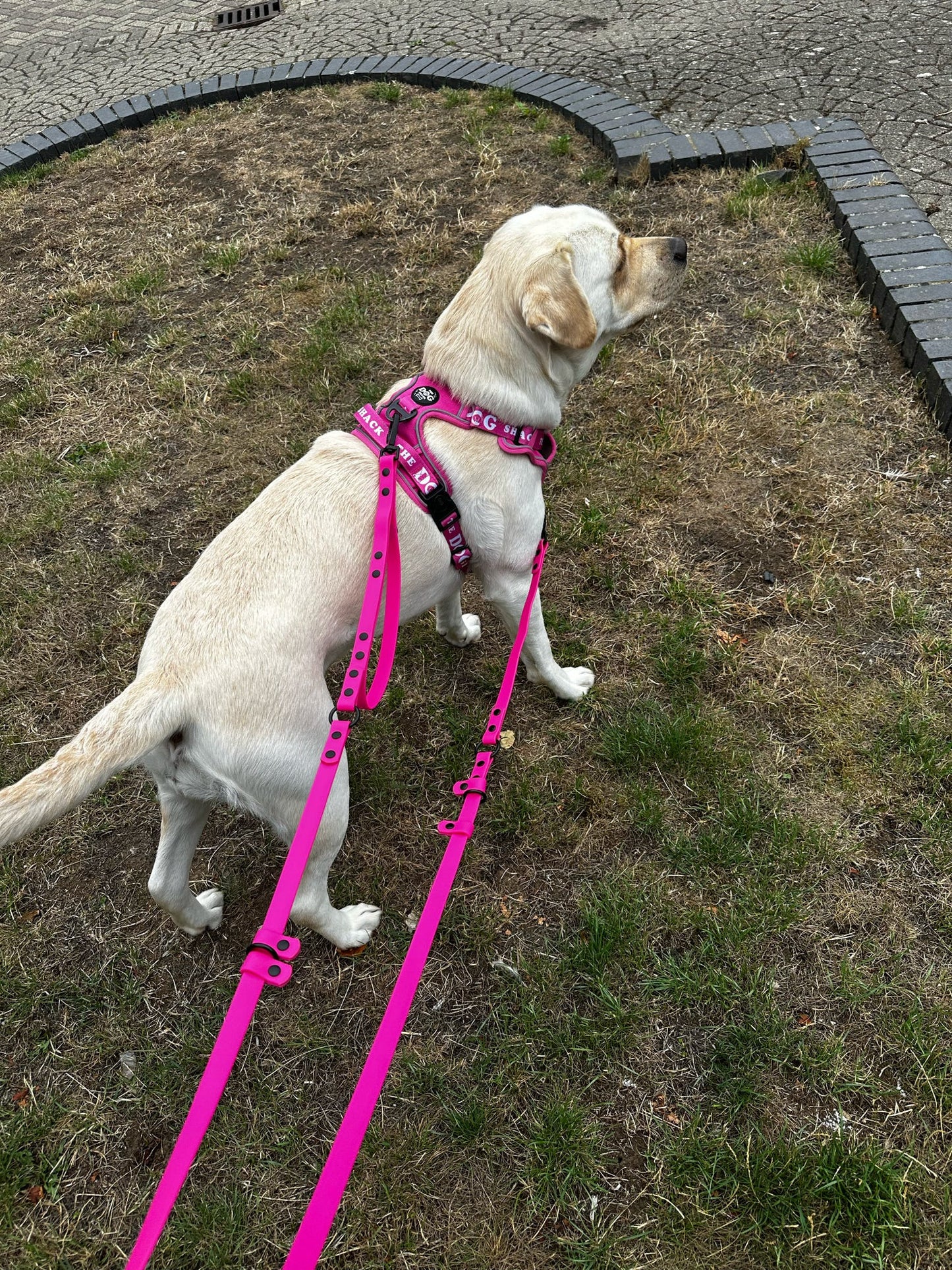 Multi Way Hands Free Dog Lead - Pink