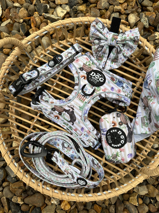 Badger & Friends Bundle