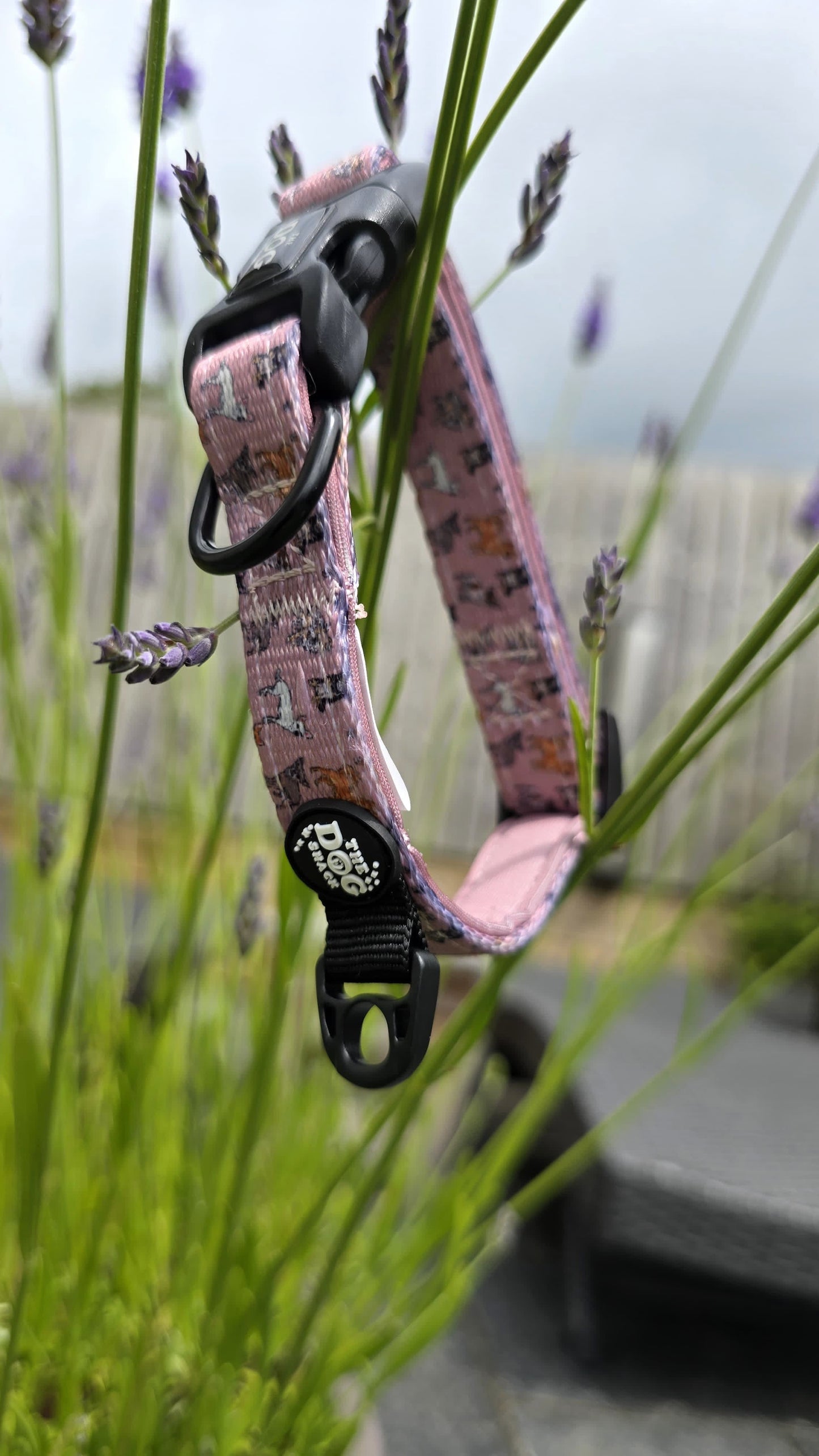 Collar -Lola & Friends size xs was £12