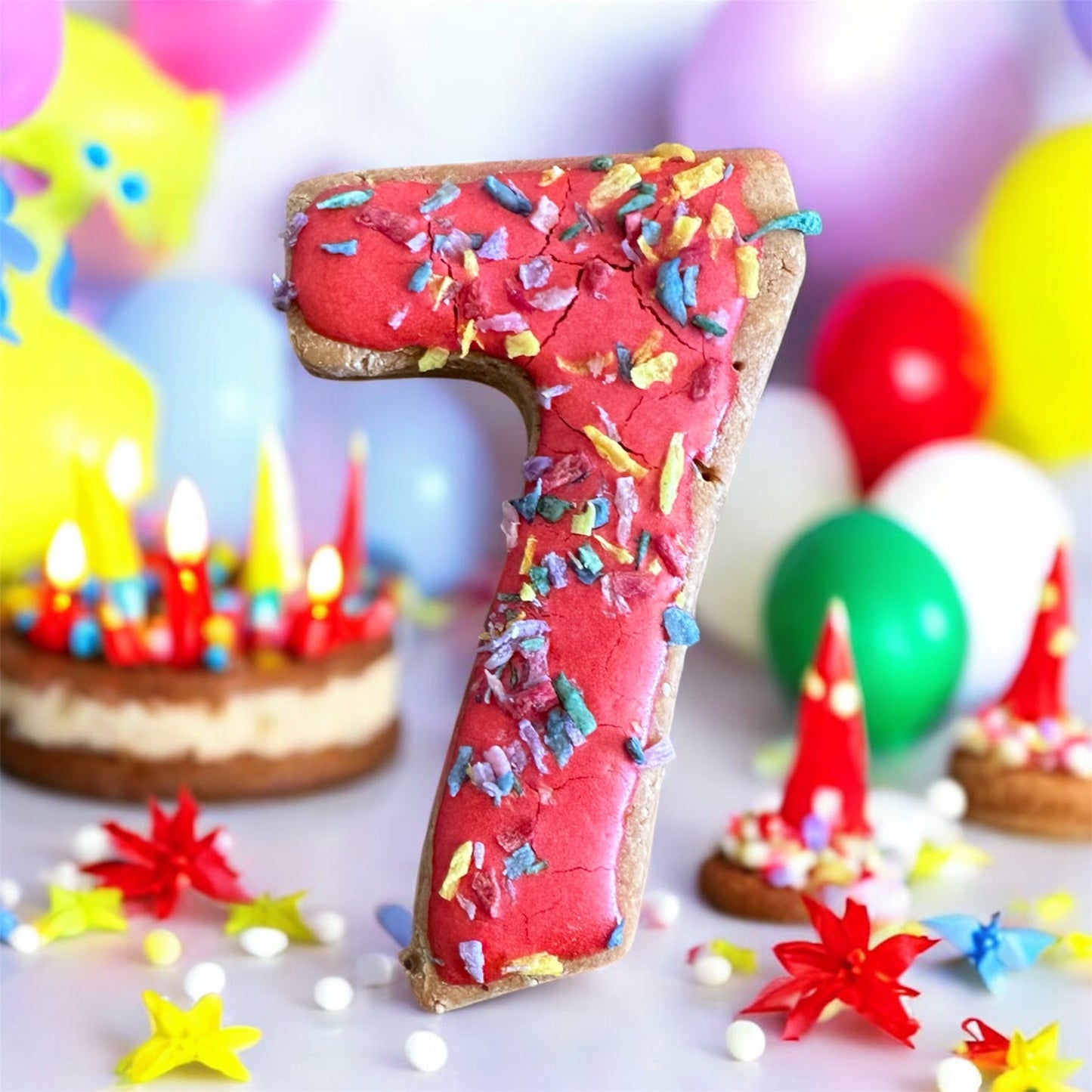 Birthday Numbers Grain Free Dog Biscuits Wholesale