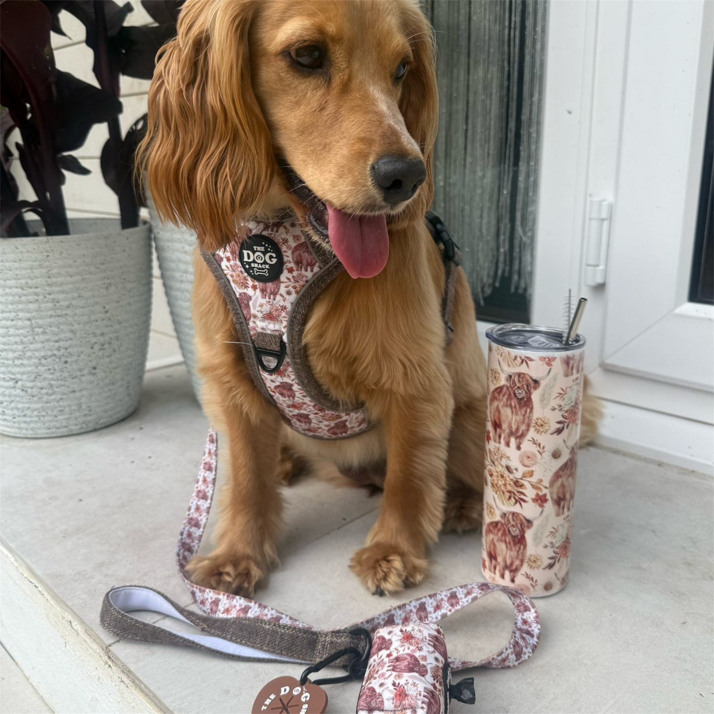 Lead - Brown Tweed x Highland Cow