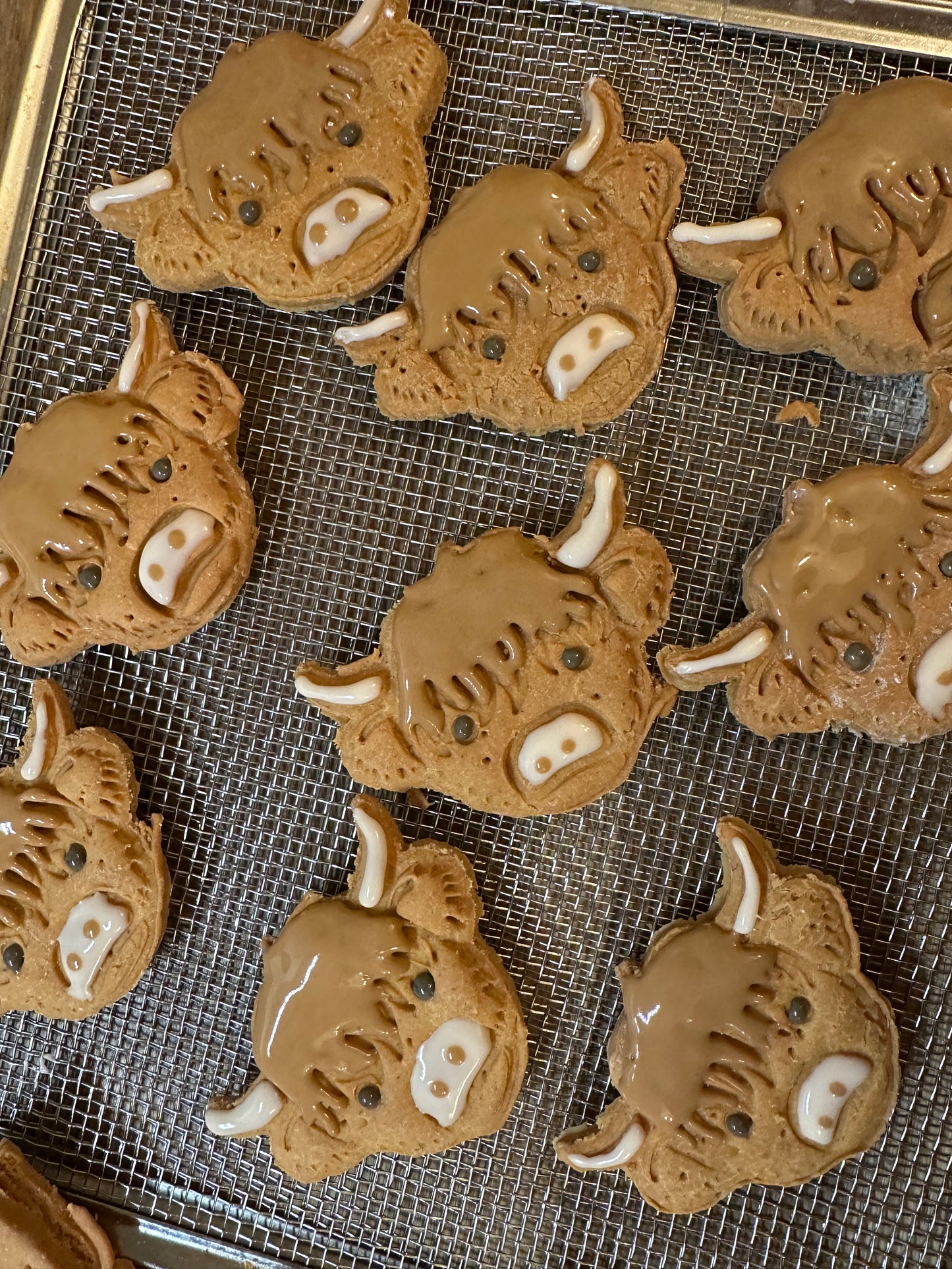 Highland Cow Grain free Dog Biscuit x1 Wholesale