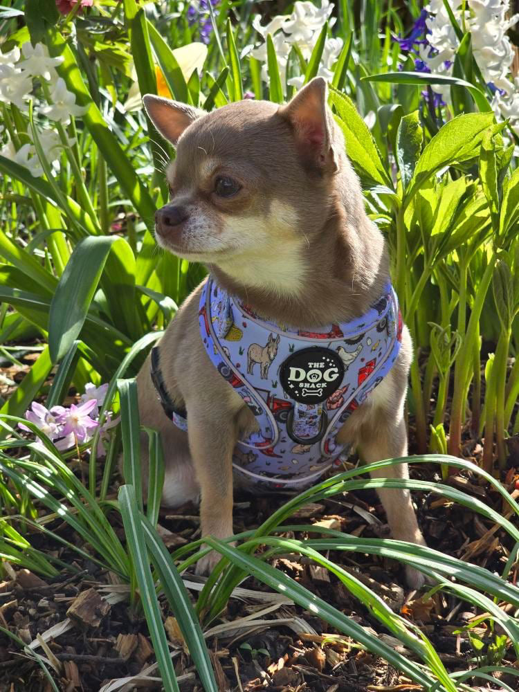 Adjustable 1 Clip & 3 harness - Freddie's Farm