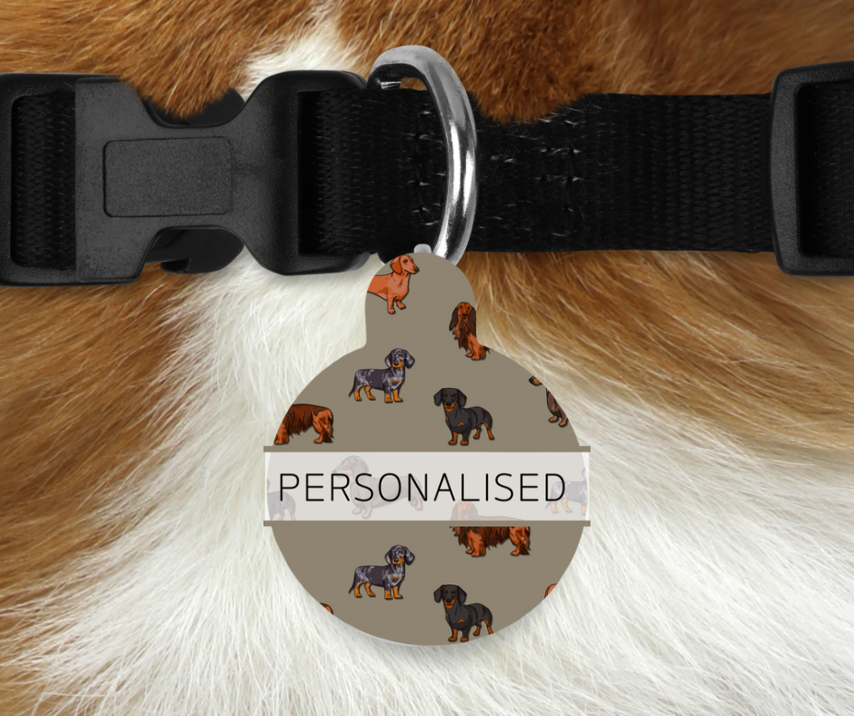 Personalised Pet ID Tags - Clever Little Sausages