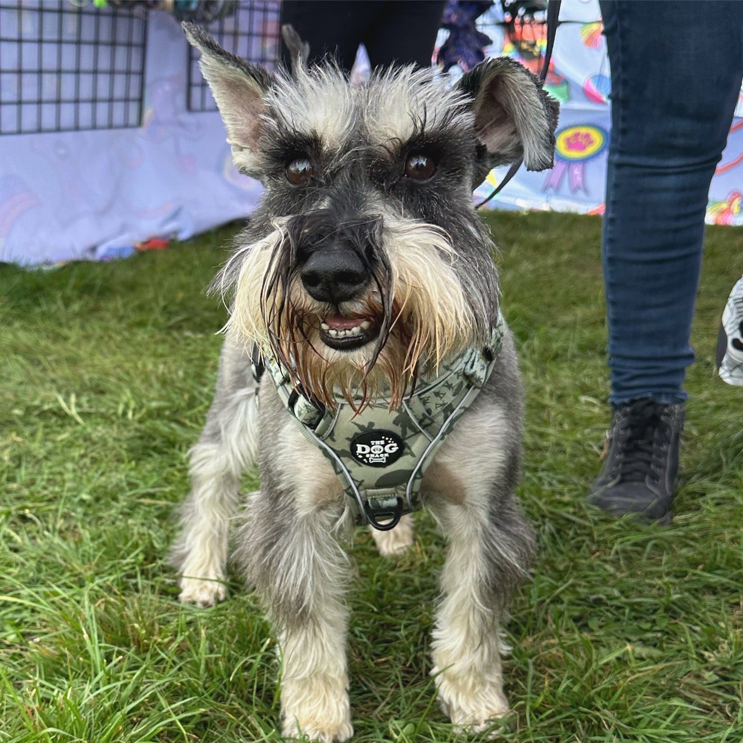 Adjustable 1 Clip & 3 Clip Harness - Re-Paw-Ting for Duty