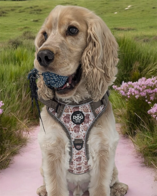 Adjustable 1 Clip & 3 harness - Brown Tweed x Highland Cow