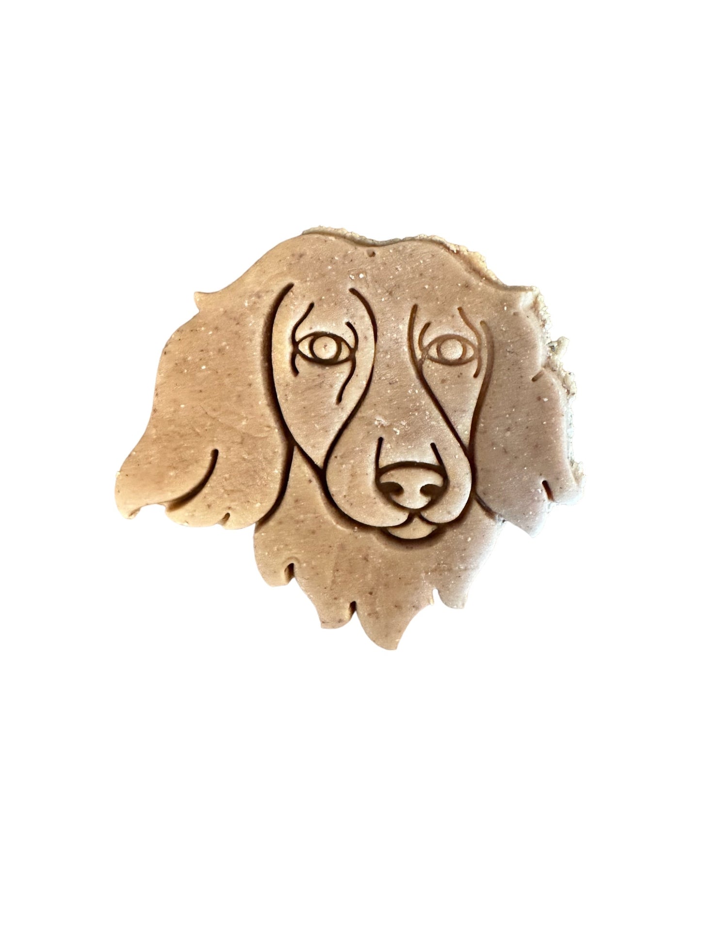 Dog Breed Birthday Cake