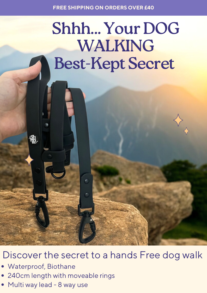 Multi Way Hands Free Dog Lead Wholesale