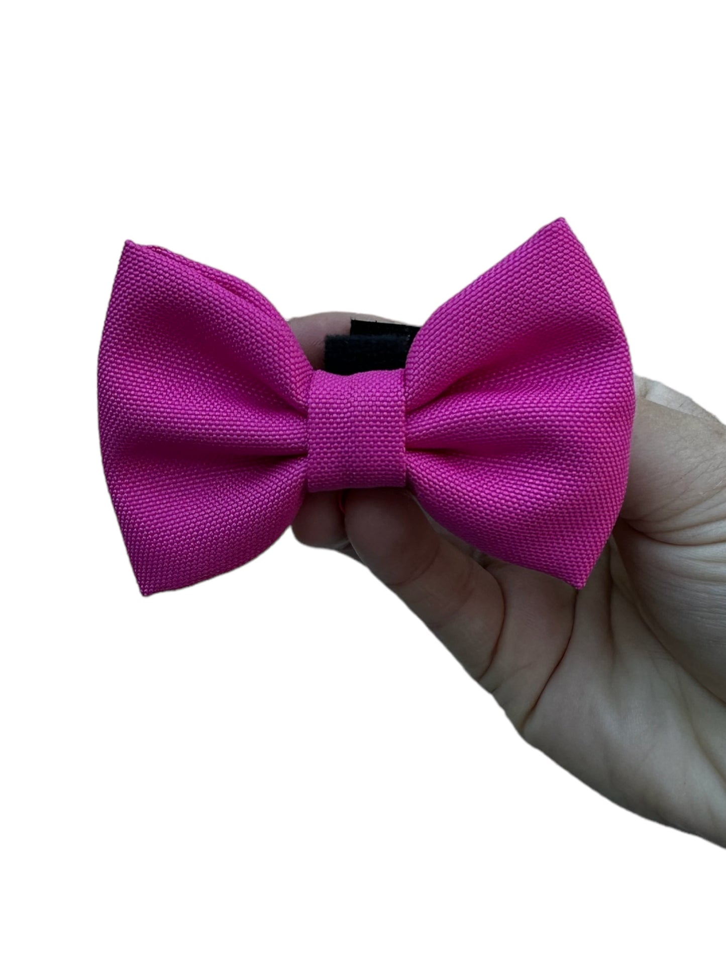 Bow Tie - Neon Pink