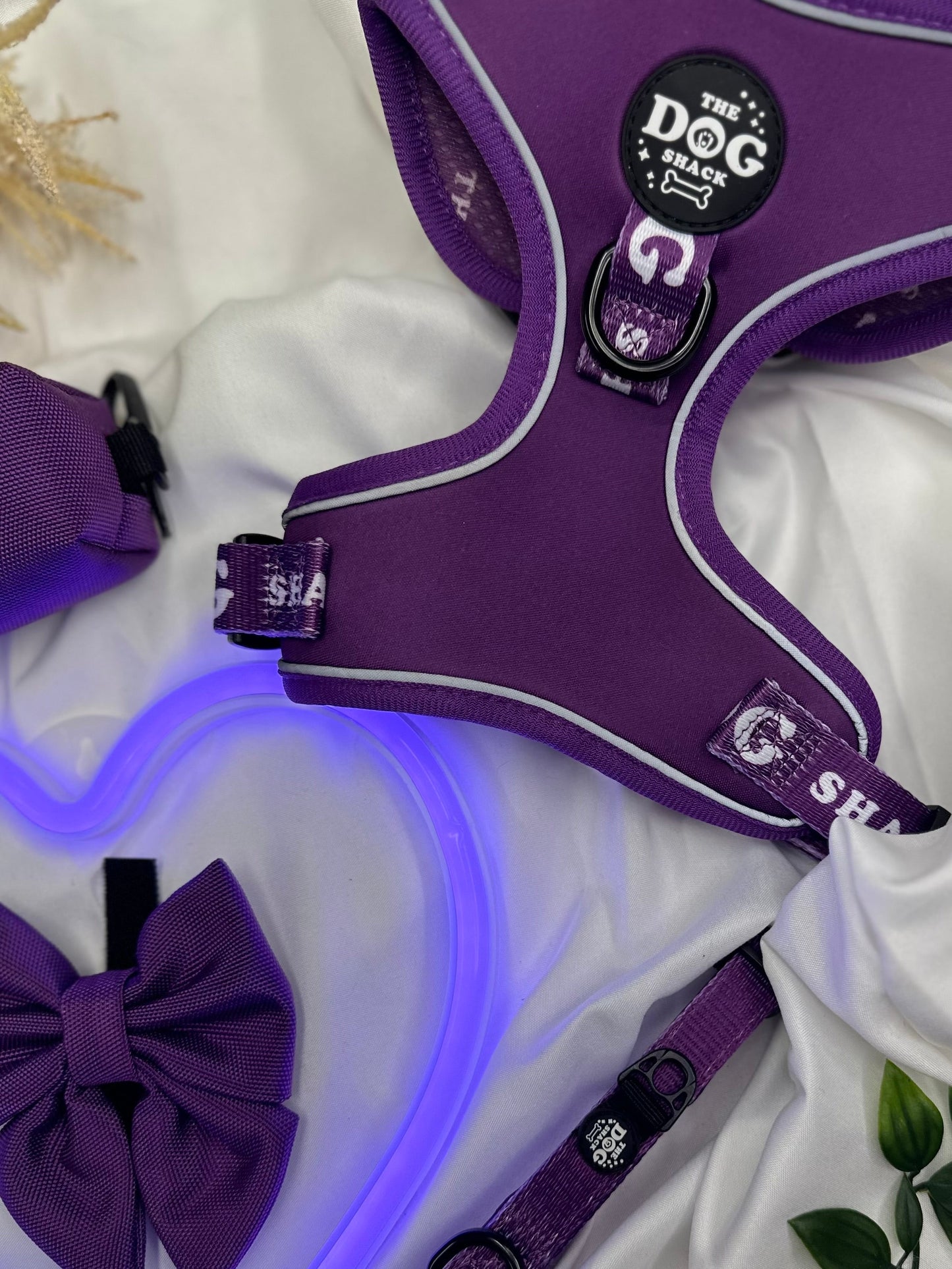 The Active Range 1 Clip & 3 clip harness - Neon Purple