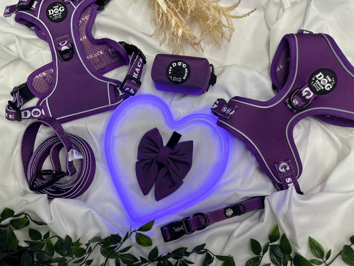 The Active Range 1 Clip & 3 clip harness - Neon Purple
