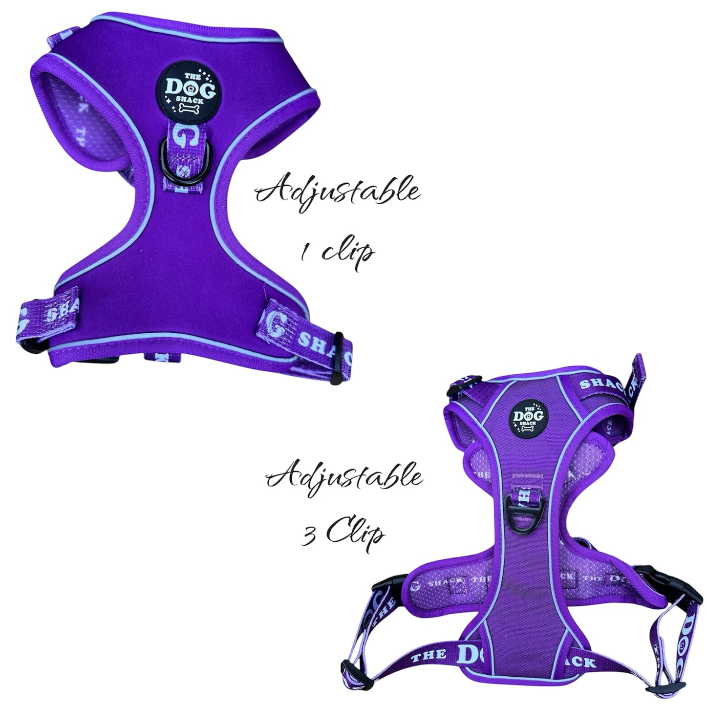 The Active Range 1 Clip & 3 clip harness - Neon Purple