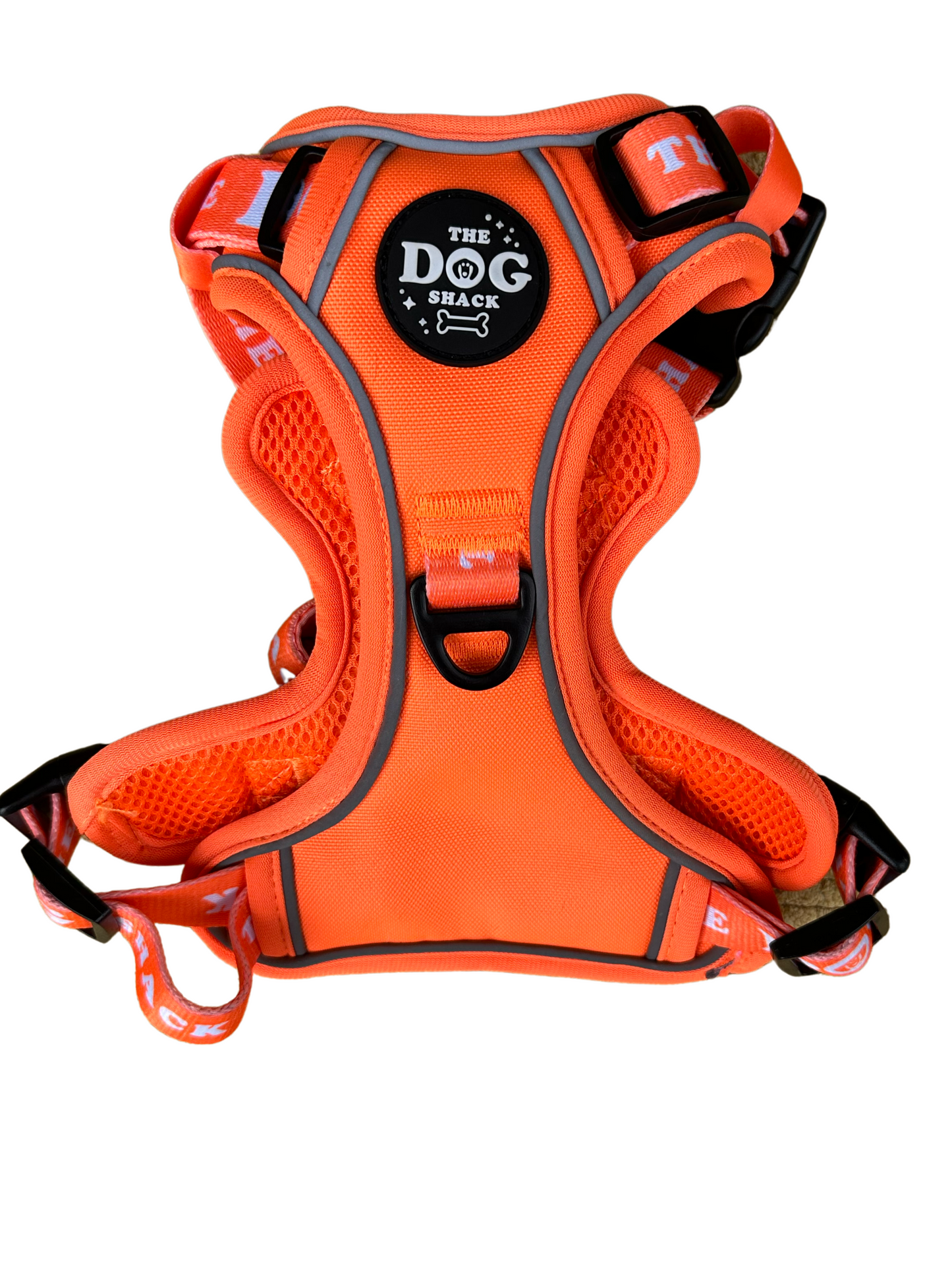 JOB LOT Neon Orange Collection Wholesale