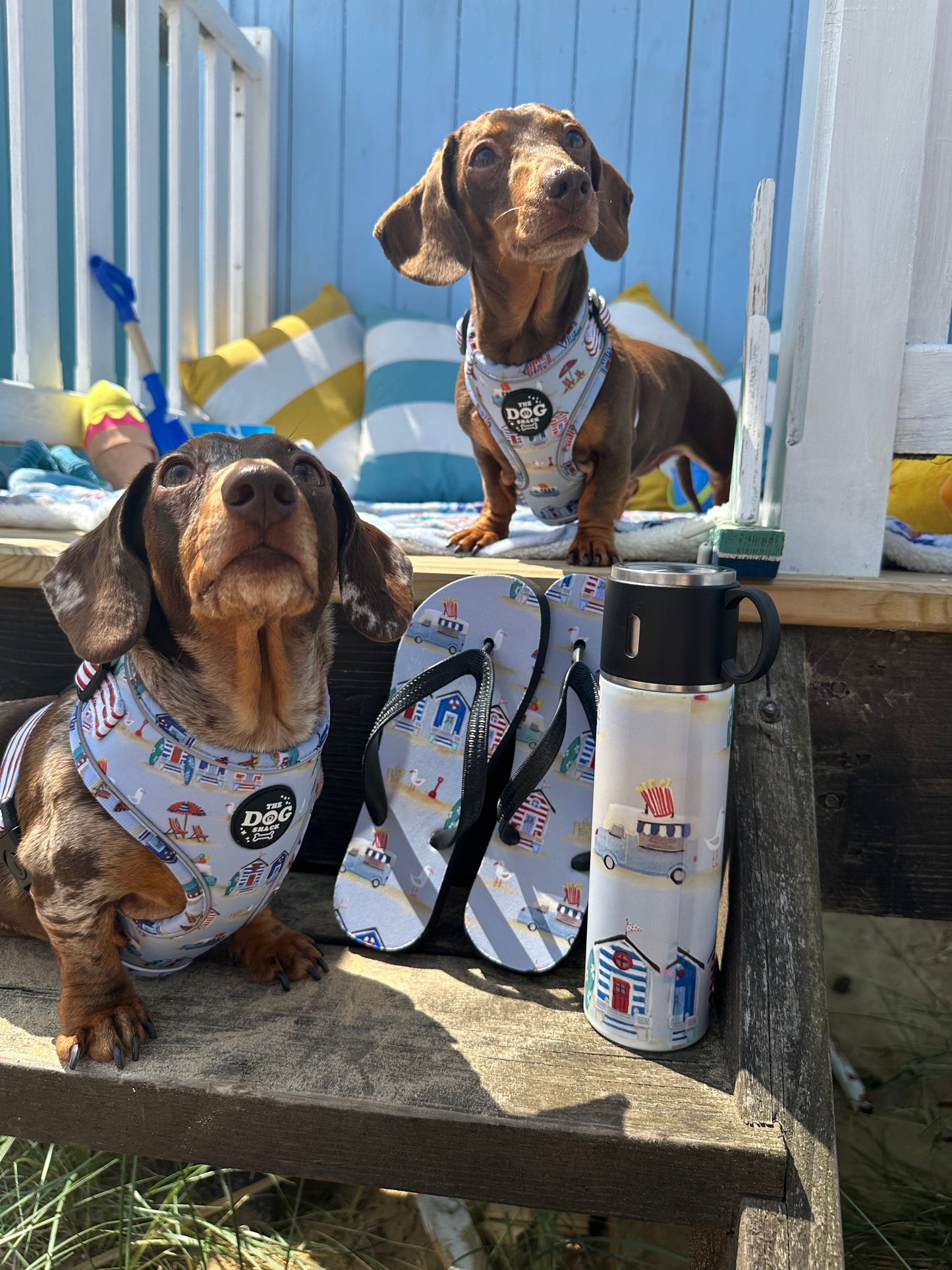 Flask 500ml - Beach Pup
