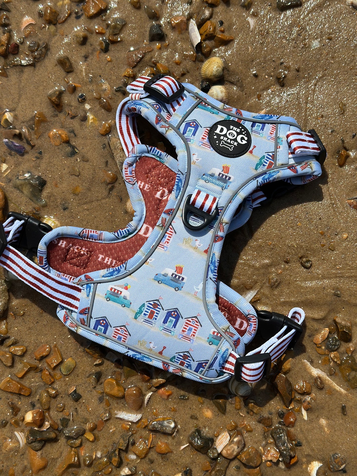Beach Pup bundle