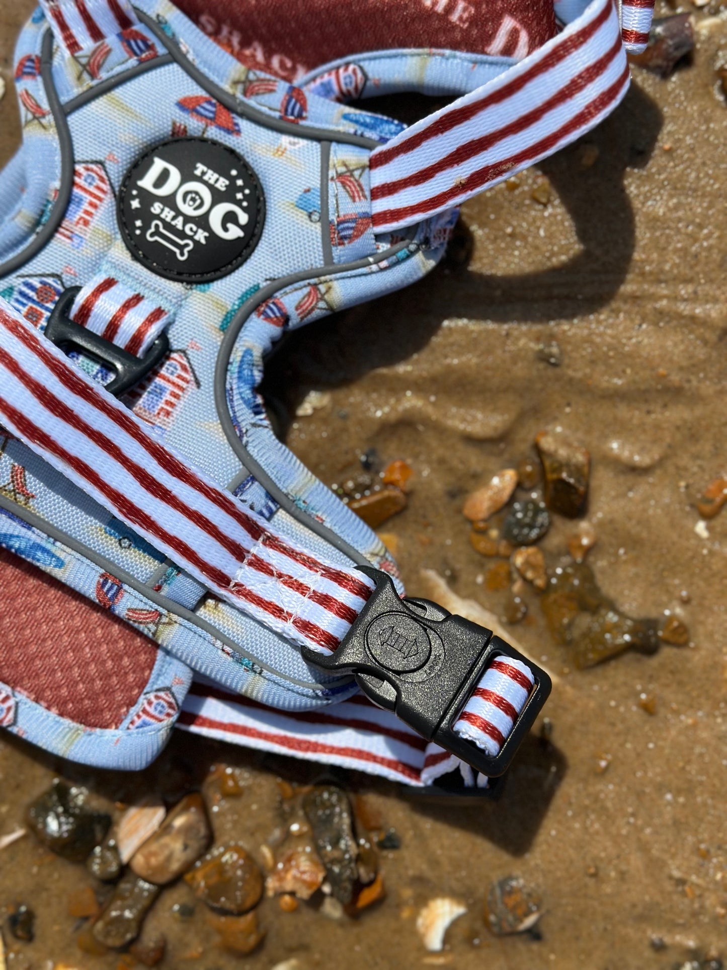 Adjustable 1 Clip & 3 harness - Beach Pup