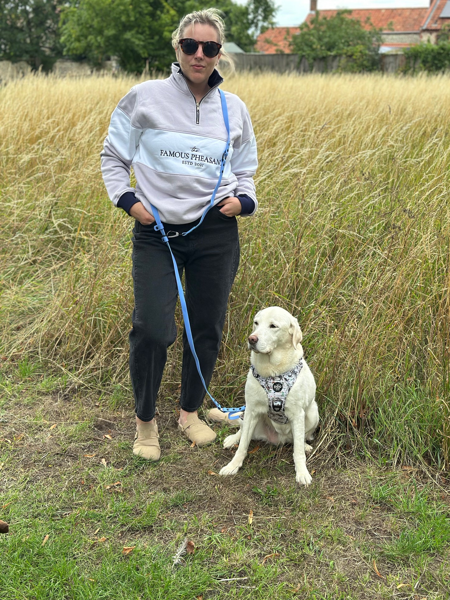 Multi Way Hands Free Dog Lead - Blue