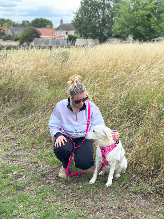 Multi Way Hands Free Dog Lead - Pink